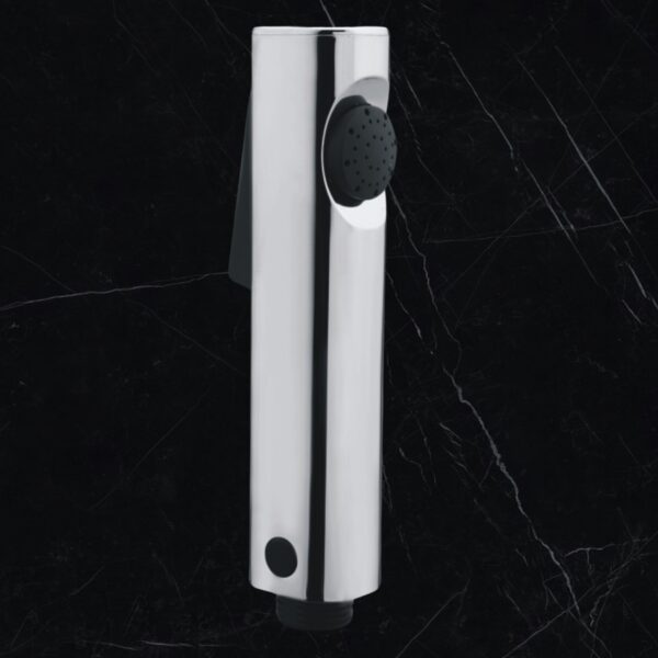 Elentra Health Faucet